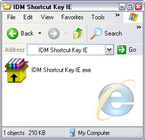 IDM Shortcut Key For IE